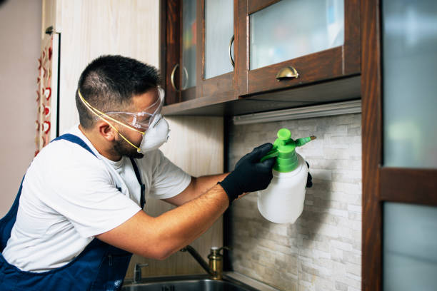Best Pest Control Near Me  in Millersburg, OR