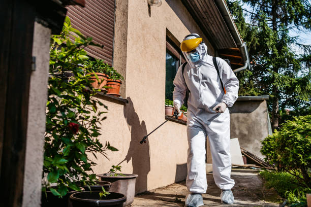 Best Affordable Pest Control Services  in Millersburg, OR