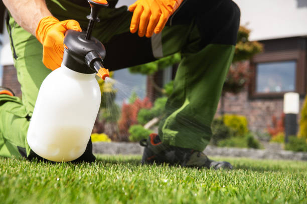 Best Exterminator Services  in Millersburg, OR