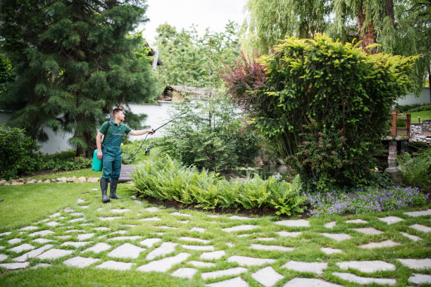 Best Insect Control  in Millersburg, OR