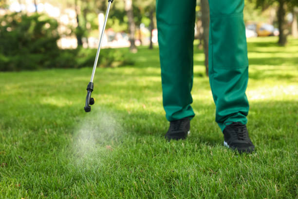 Best Best Pest Control Companies  in Millersburg, OR