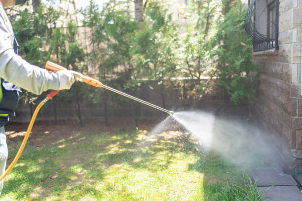 Best Pest Prevention Services  in Millersburg, OR