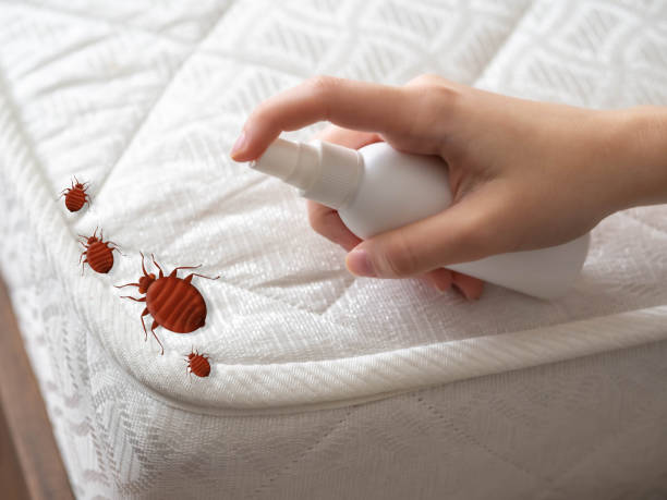 Best Mosquito Control Services  in Millersburg, OR