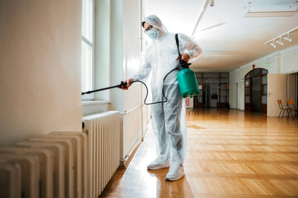 Best Rat Extermination Near Me  in Millersburg, OR
