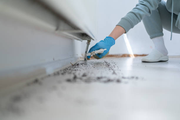 Bird Control in Millersburg, OR