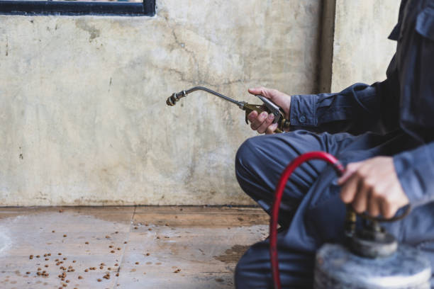 Best Pest Prevention Services  in Millersburg, OR