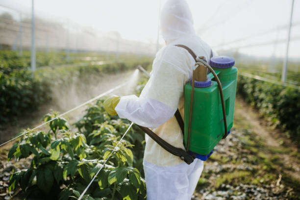 Best Local Pest Control Services  in Millersburg, OR